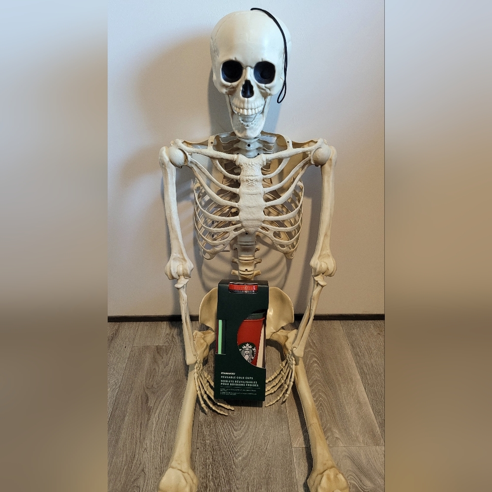 Holiday Cold Cup Set By Starbucks